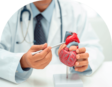 Saúde Cardiovascular